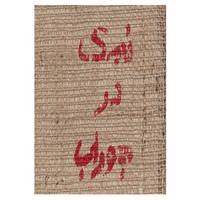 کتاب نمک در جوراب اثر لیلیان ام.برد،لیندا لی اسمال