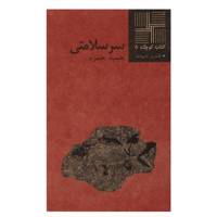 کتاب سرسلامتی‌ اثر حمید حمزه