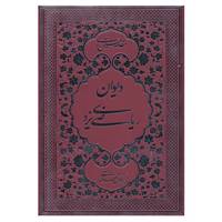 کتاب دیوان ریاضی یزدی اثر محمدعلی ریاضی یزدی