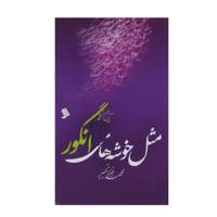 کتاب مثل خوشه‌ های انگور اثر محمد رضا رنجبر