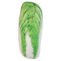 جامدادی هالیدی فارم طرح کاهو - Holiday Farm lettuce Design Pencil Case