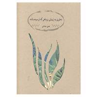 کتاب دختری به زیبایی روباهی که ترسیده باشد اثر هدی حدادی