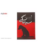 کتاب سیاه سگی مجموعه 10 داستان کوتاه اثر روح الله درویشی