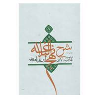 کتاب شرح نهج البلاغه 8 اثر ابن ابی الحدید