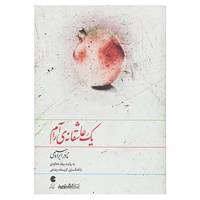 کتاب کتاب سخنگو یک عاشقانه ی آرام اثر نادر ابراهیمی