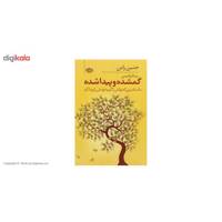 کتاب گمشده و پیدا شده اثر جنین راس
