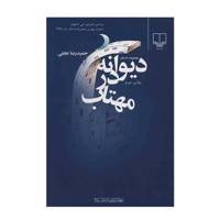 کتاب دیوانه در مهتاب اثر حمیدرضا نجفی