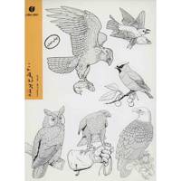 کتاب 400 طرح پرنده Bird Illustrations