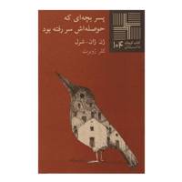 کتاب پسر ‌بچه‌ ای‌ که ‌حوصله اش سر رفته بود اثر ژن ژان شرل