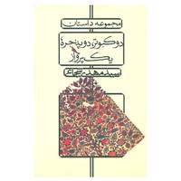 کتاب دو کبوتر،دو پنجره،یک پرواز اثر مهدی شجاعی