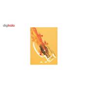 کتاب آیلین اثر فرخنده حق شنو