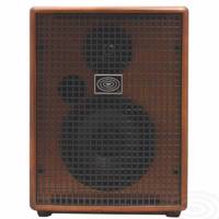 آمپلی فایر شرتلر مدل Jam 100 Schertler Jam 100 Guitar Amplifier