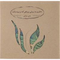 کتاب دختری به زیبایی روباهی که ترسیده باشد اثر هدی حدادی