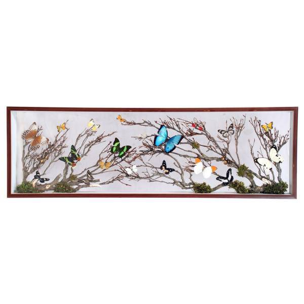 تابلو دیواری پروانه طبیعی مدل 9970 Natural Organic