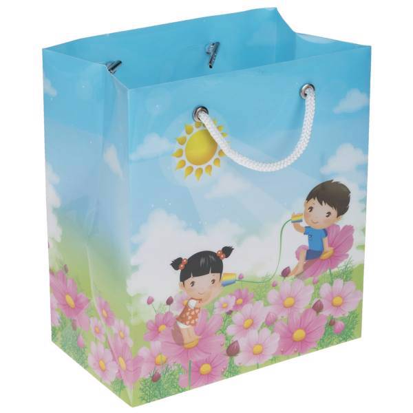 پاکت هدیه عمودی پاپکو کد CXF-003، Papco CXF-003 Horizontal Gift Bag