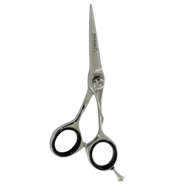 قیچی حرفه ای آرایشگاهی دلگان مدل DS4520، Delgan DS4520 Scissors