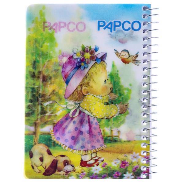 دفتر یادداشت پاپکو کد NB-670، Papco NB-670 Notebook