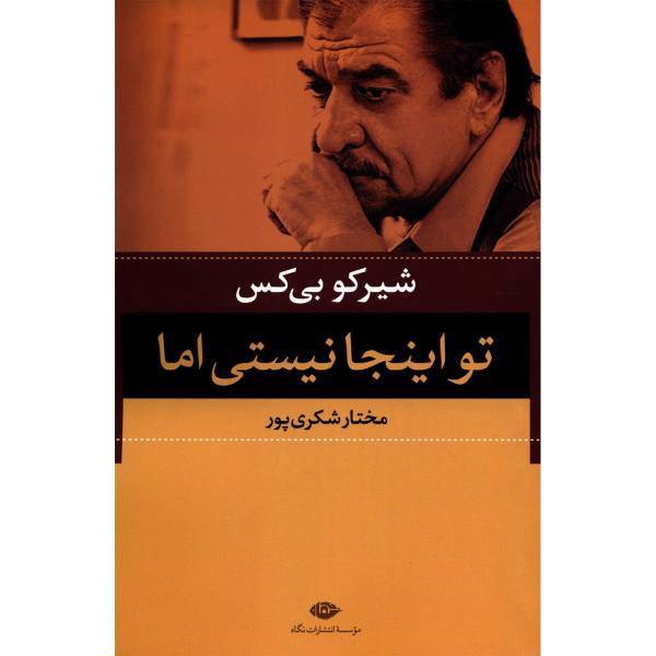 کتاب تو اینجا نیستی اما اثر شیرکو بی کس