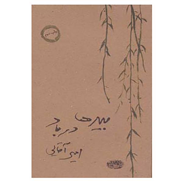 کتاب بیدها در باد اثر امیر آقایی