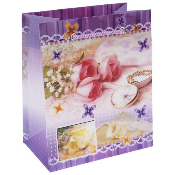 ساک هدیه پاپکو مدل CXF-003، Papco CXF-003 Gift Bag