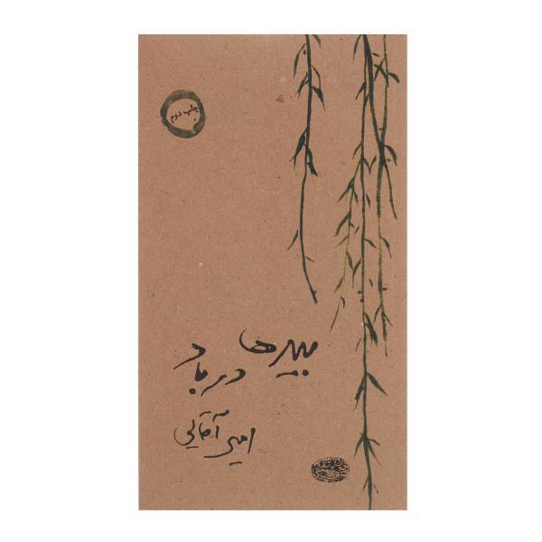 کتاب بیدها در باد اثر امیر آقایی