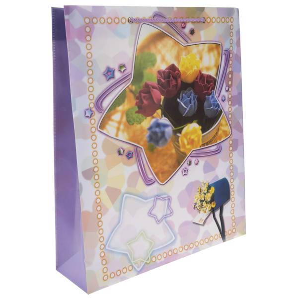 پاکت هدیه پاپکو مدل CXF-001 کد 372، Papco CXF-001 372 Gift Bag