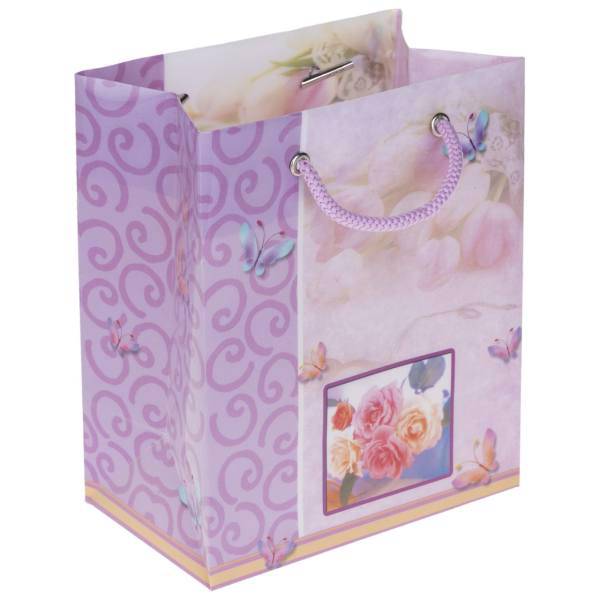 پاکت هدیه عمودی پاپکو کد CXF-003، Papco CXF-003 Horizontal Gift Bag