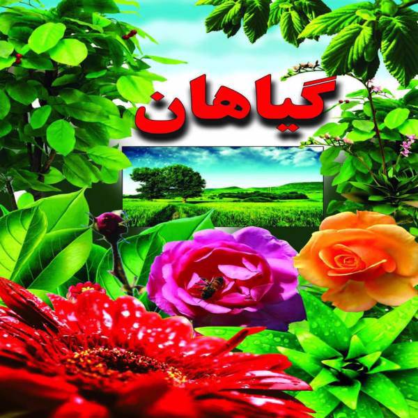 کتاب گیاهان اثر علی ذوالفقاری، Book of Plants