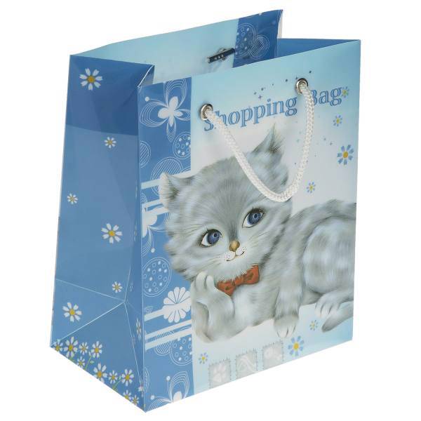 پاکت هدیه عمودی پاپکو کد CXF-003، Papco CXF-003 Vertical Gift Bag