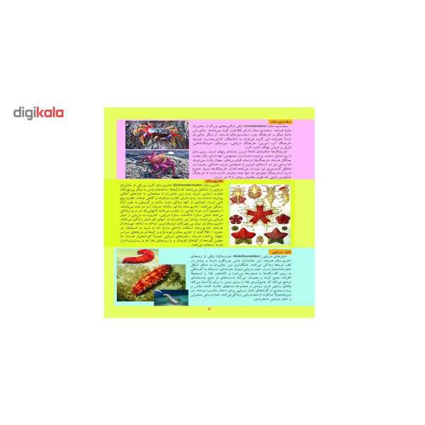 کتاب آشنایی با حیوانات اثر علی ذوالفقاری، An Animal Book