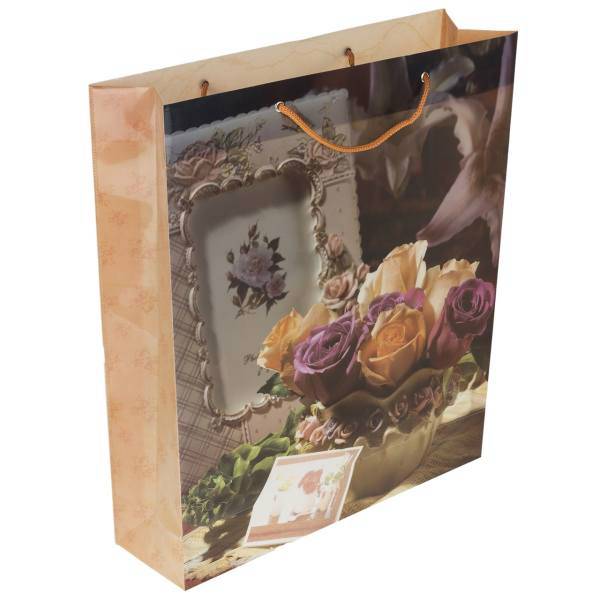 ساک هدیه پاپکو کد CXF-001، Papco CXF-001 Gift Bag