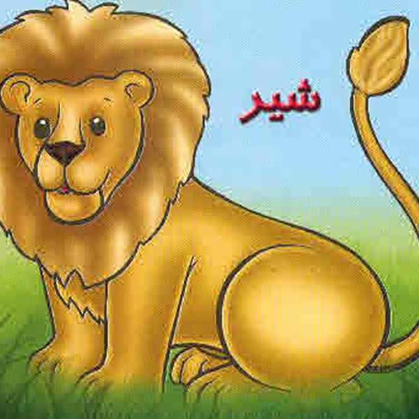 کتاب شیر اثر شهره یوسفی