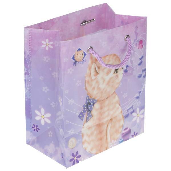 پاکت هدیه عمودی پاپکو کد CXF-003، Papco CXF-003 Horizontal Gift Bag