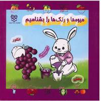 کتاب میوه ها و رنگ ها را بشناسیم
