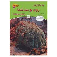 کتاب زندگی پنهان 2 اثر اندرو سالوی