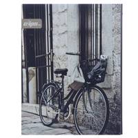 دفتر 100 برگ کلیپس مدل کلاسوری طرح دوچرخه جلد سخت Clips 100 Sheets Hard Cover Bicycle Design Ring Binder Notebook