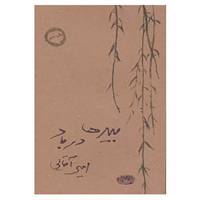 کتاب بیدها در باد اثر امیر آقایی