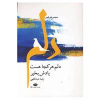 کتاب دلم هر کجا هست یادش بخیر اثر رضا عبداللهی