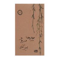 کتاب بیدها در باد اثر امیر آقایی