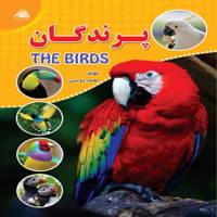 کتاب پرندگان اثر محمد دوستی Birds book