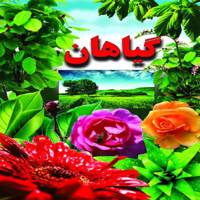 کتاب گیاهان اثر علی ذوالفقاری Book of Plants