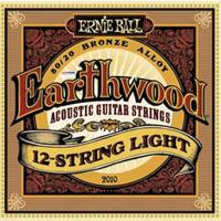 سیم گیتار آکوستیک ارنی بال مدل 2010 Ernieball 2010 Acoustic Guitar String