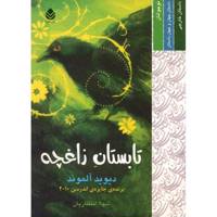 کتاب تابستان زاغچه اثر دیوید آلموند