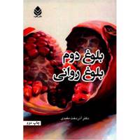 کتاب بلوغ دوم بلوغ روانی اثر آذردخت مفیدی