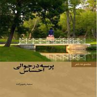 کتاب شعر پرسه درحوالی احساس اثر سمیه رحیم زاده Roam around feel written by Somayeh Rahimzadeh