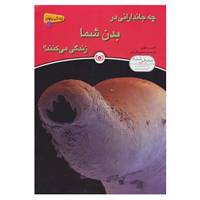 کتاب زندگی پنهان 1 اثر اندرو سالوی