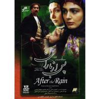 سریال تلویزیونی پس از باران After The Rain Series